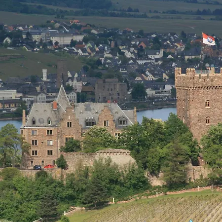Rheinblick *