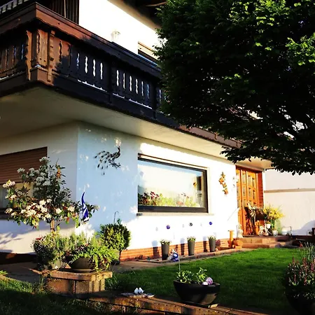 Rheinblick Bingen am Rhein