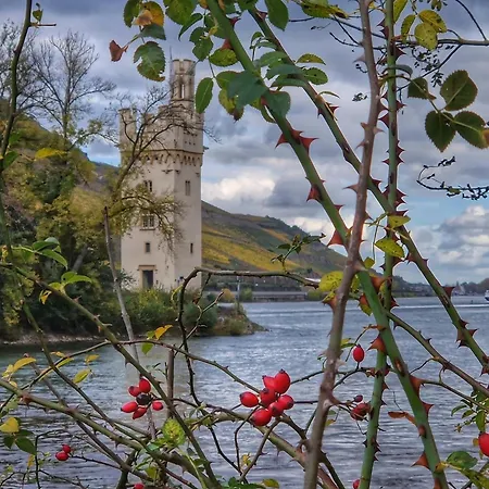 Apartmán Rheinblick *