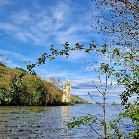 Rheinblick * Bingen am Rhein