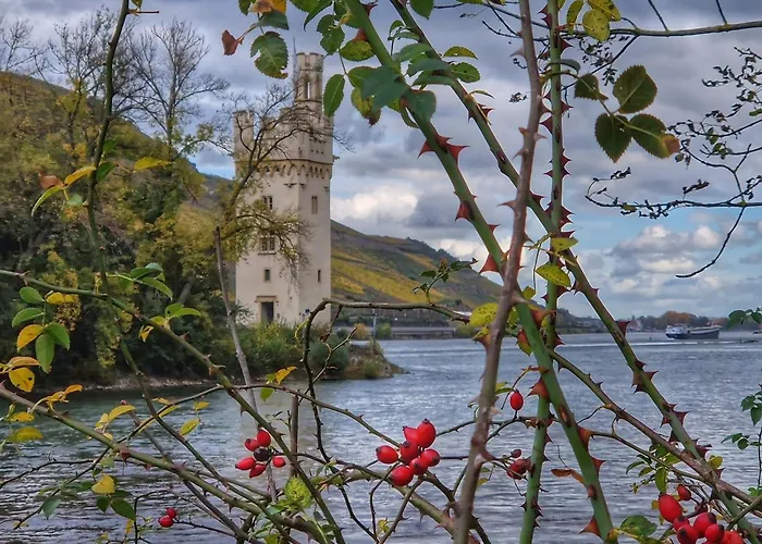 Appartement Rheinblick *