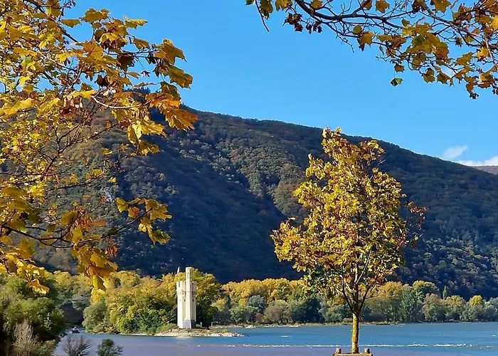 Rheinblick Appartement