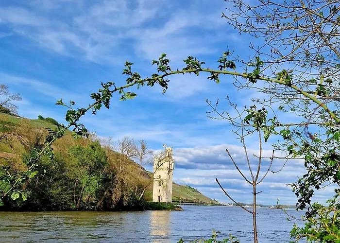 Rheinblick * Bingen am Rhein